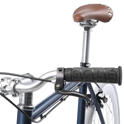 Sole Bicycles Single Speed 29