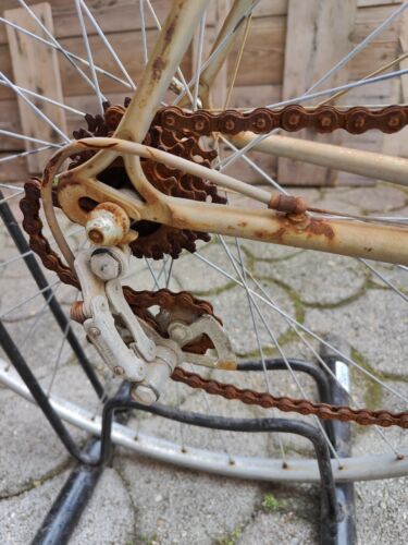 Leri 52 X 50 Campagnolo Racing Bike