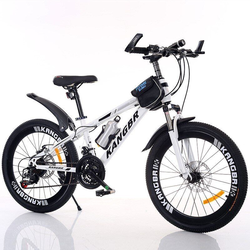 Adult Mountain Bike Double Disc Brake Men Women Bicycle Variable Speed Bicycle
