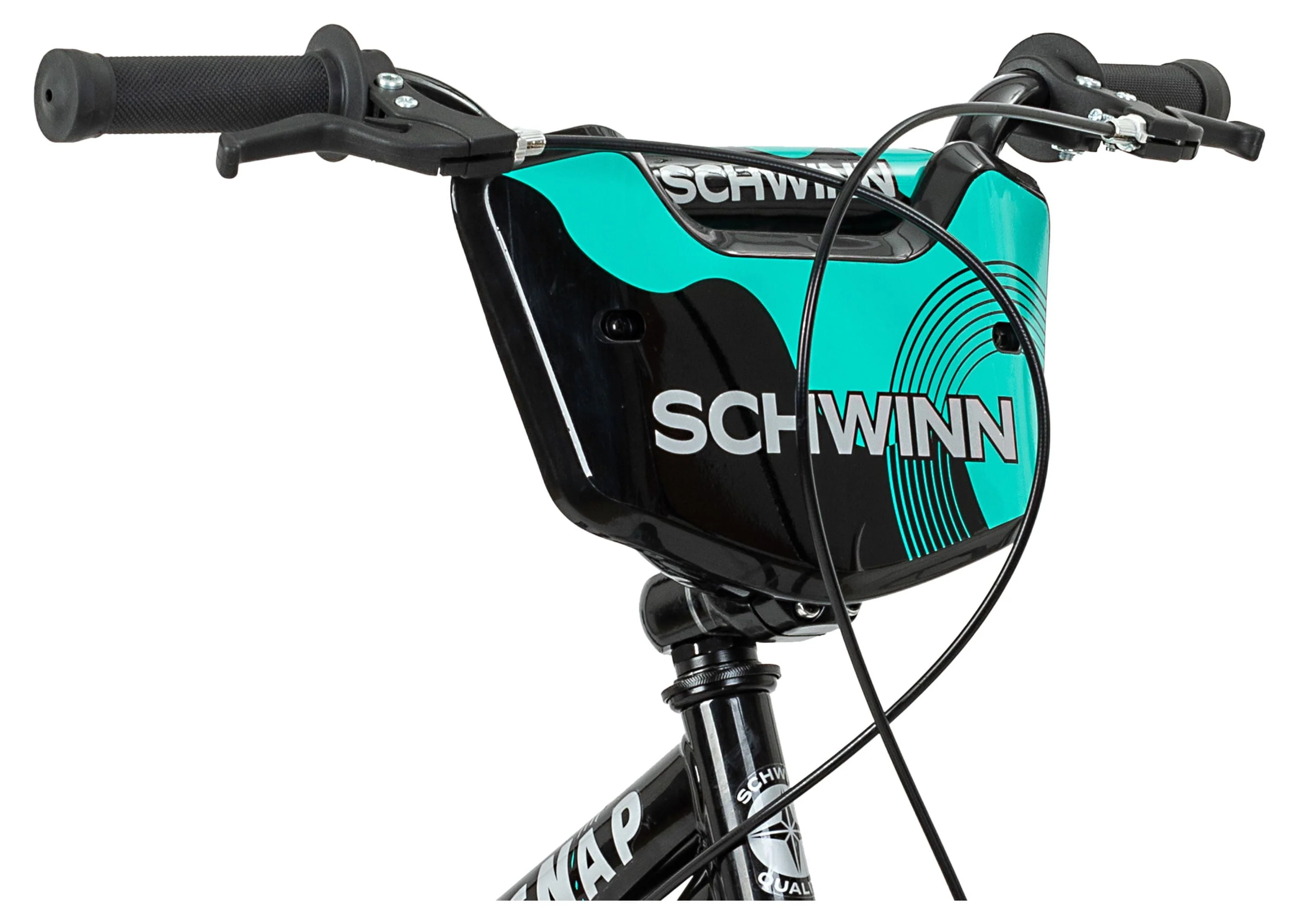 Schwinn 20