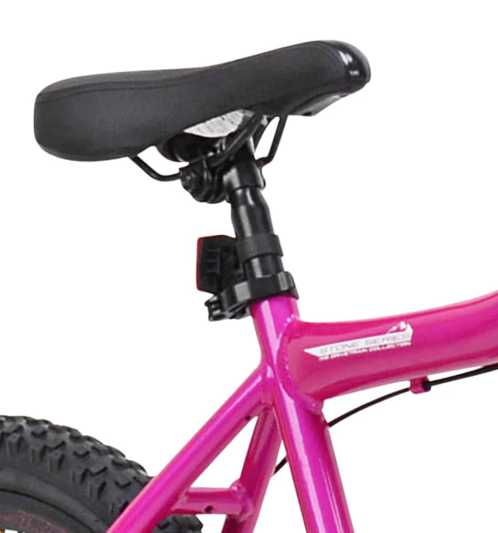 24 in. Messina Female Mountain Bike, Teen, Pink