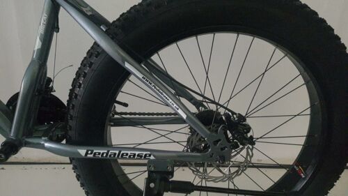 26" Gray Big Cat Fat Bike G MTB Snow Beach front suspension,dis<wbr/>c brake 21sp