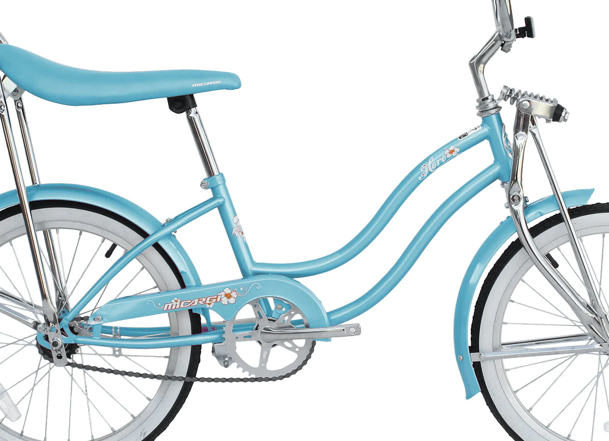 Wonder Wheels 20 Inch Women's Girls Beach Cruiser Lowrider Coaster Brake Single Speed Bicycle, Bike with Banana Seat Stainless Steel Spokes One Piece Crank Alloy Rims 36 H - Baby Blue