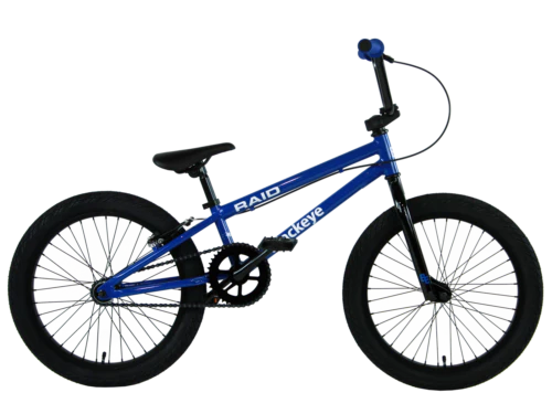 BLACKEYE 2021 Raid Bike