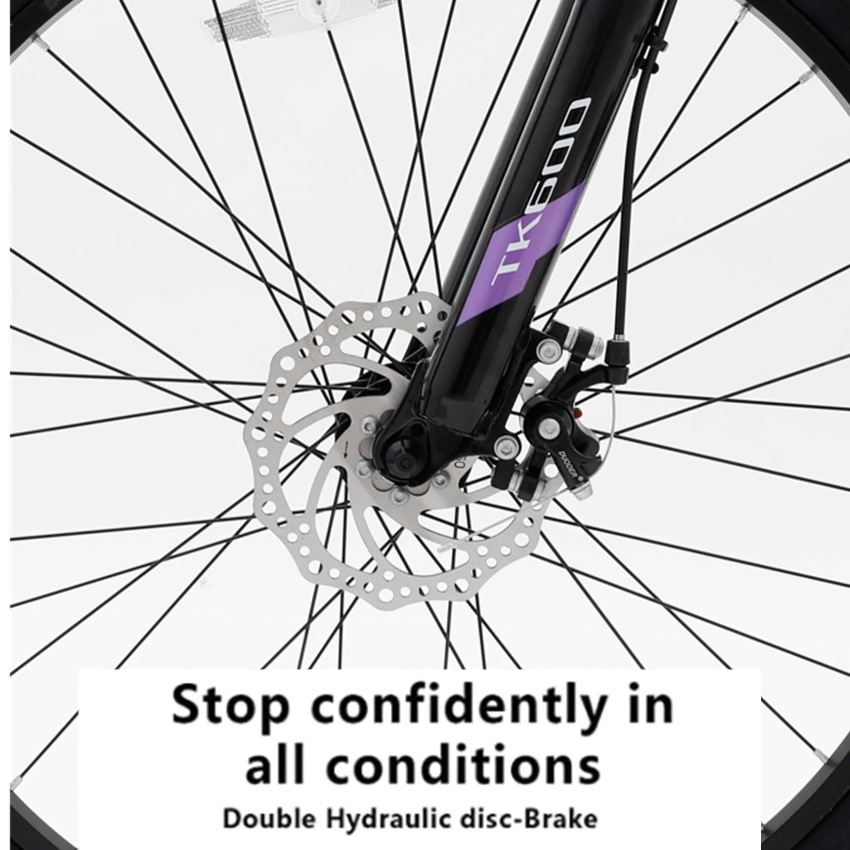 Dinling 26 inch Mens and Womens Mountain Bike with 21 Speed Wheel Purple