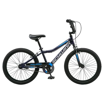 Schwinn Falcon 20