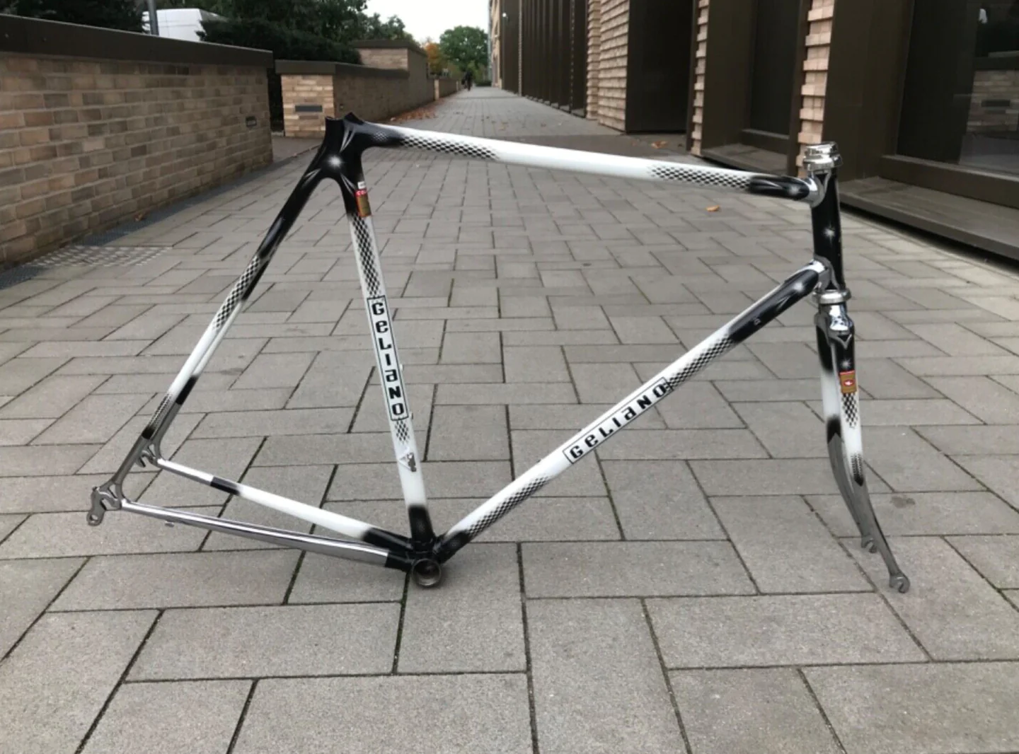 Geliano Columbus SLX Fillet Brazed Wishbone Frame 56/54.5cm VGC/GC