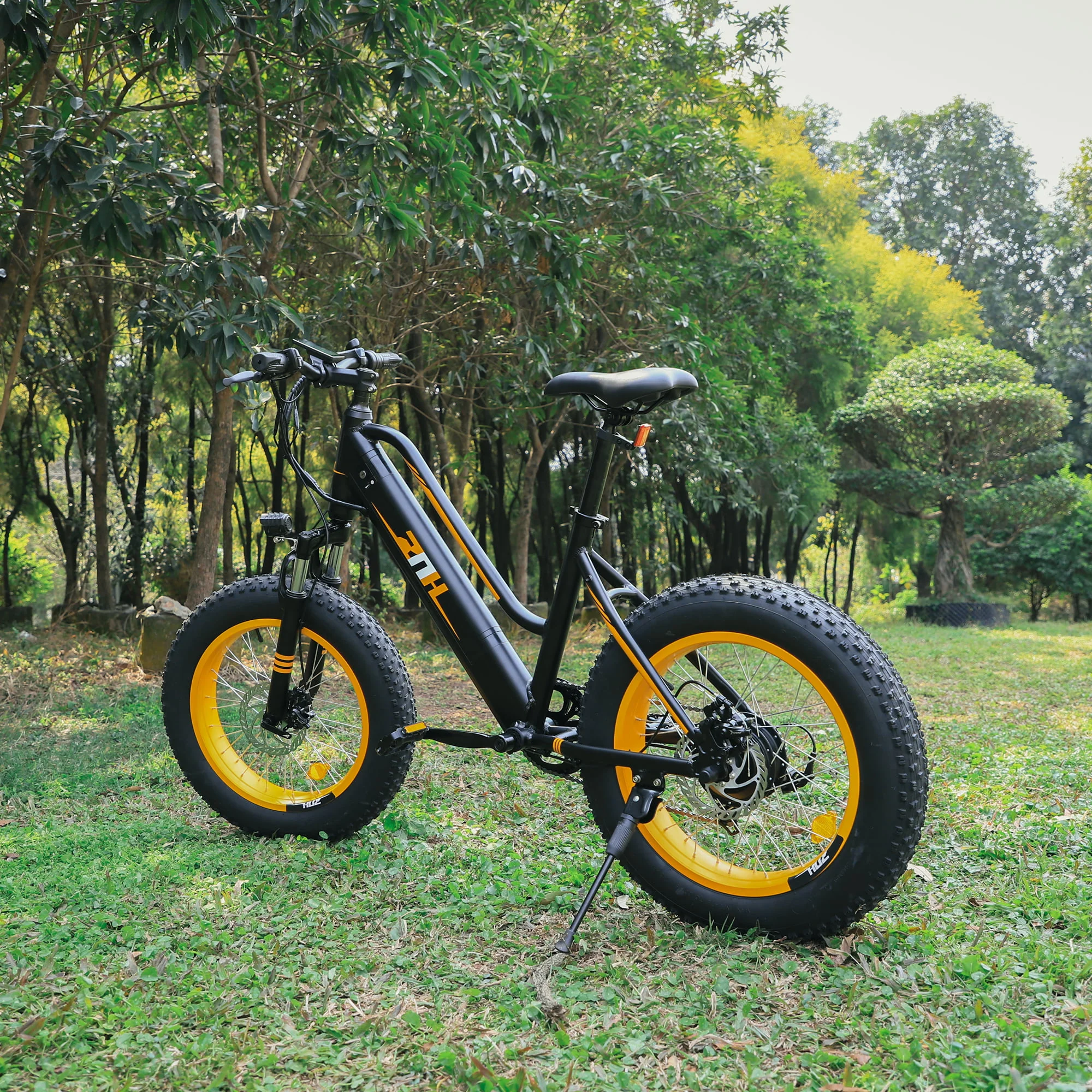ZNH Fat Tire Electric Bike 20