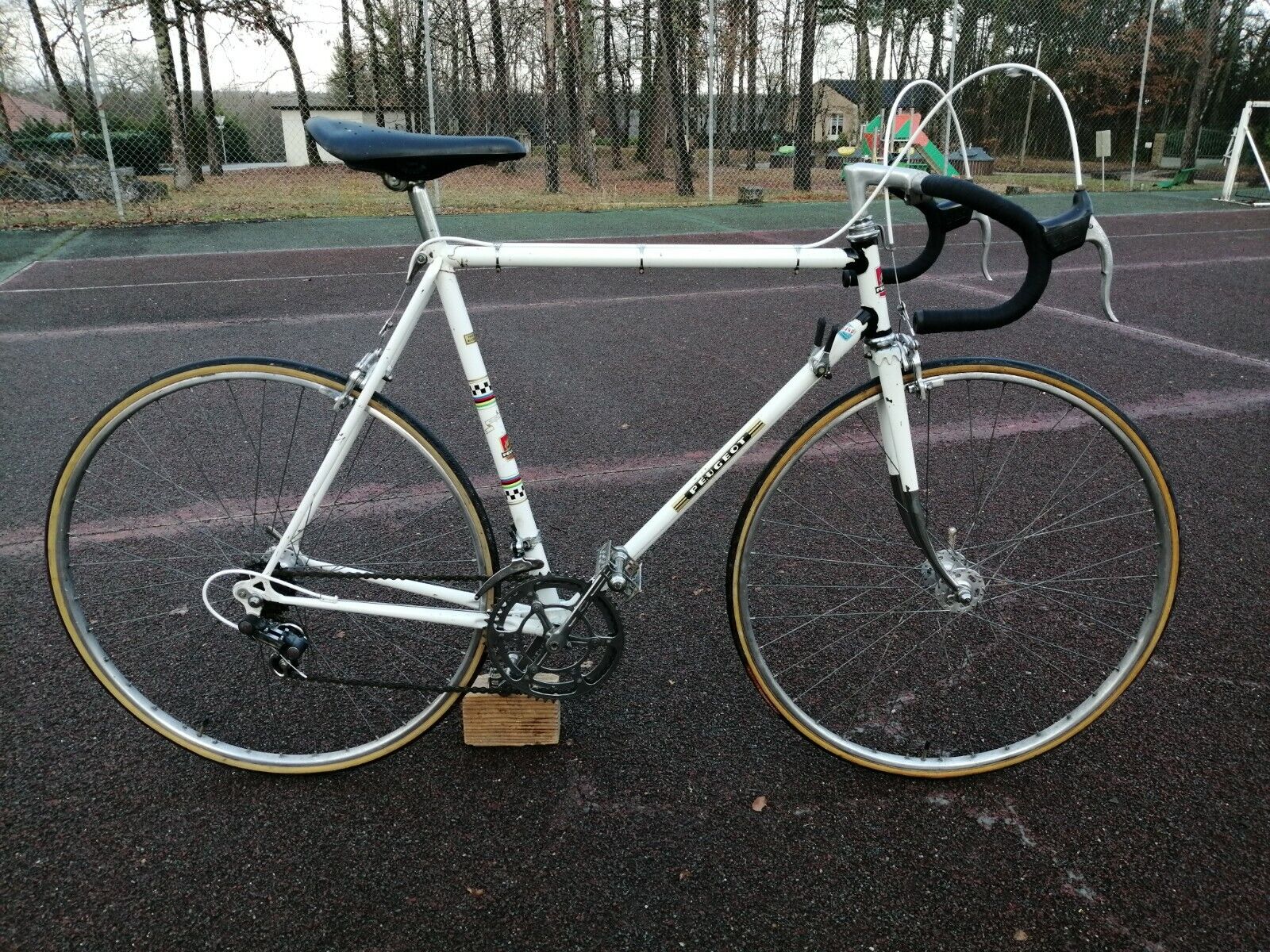 70s Peugeot PA10 racing bike