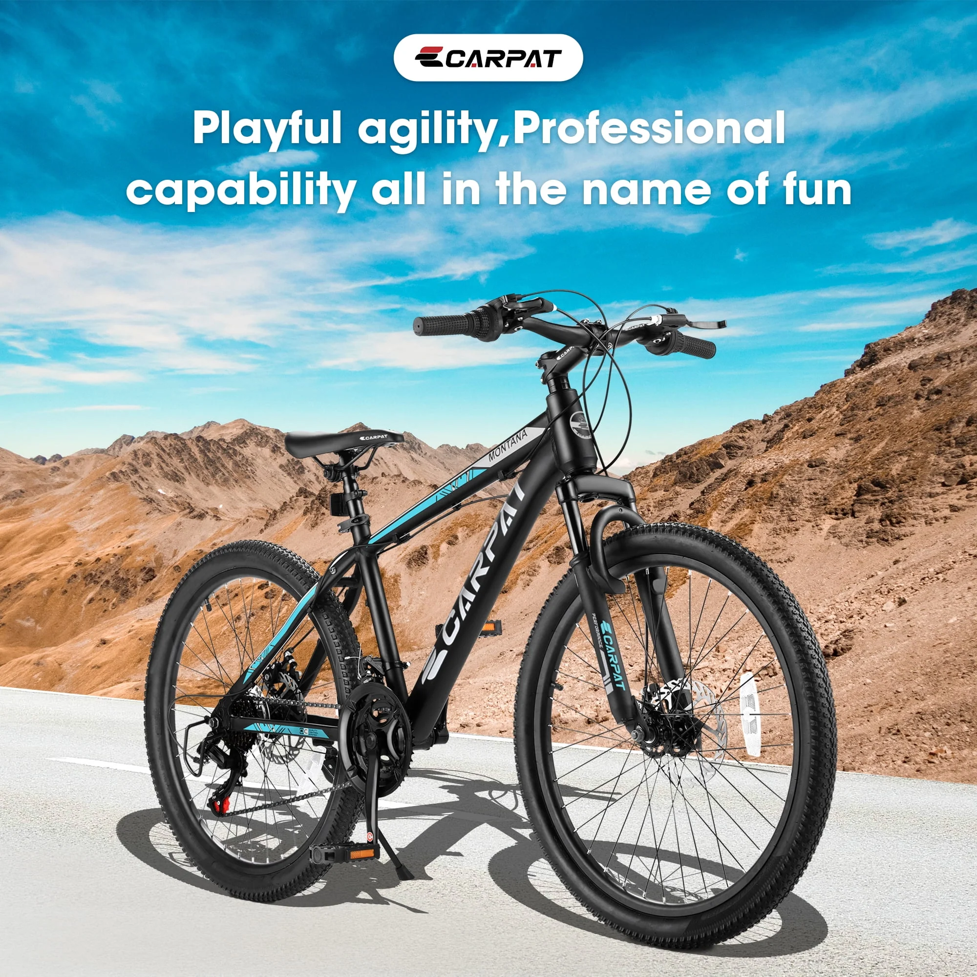 Ecarpat 26 Inch Wheels Mountain Bike, Mens Womens 26 Inch, 17