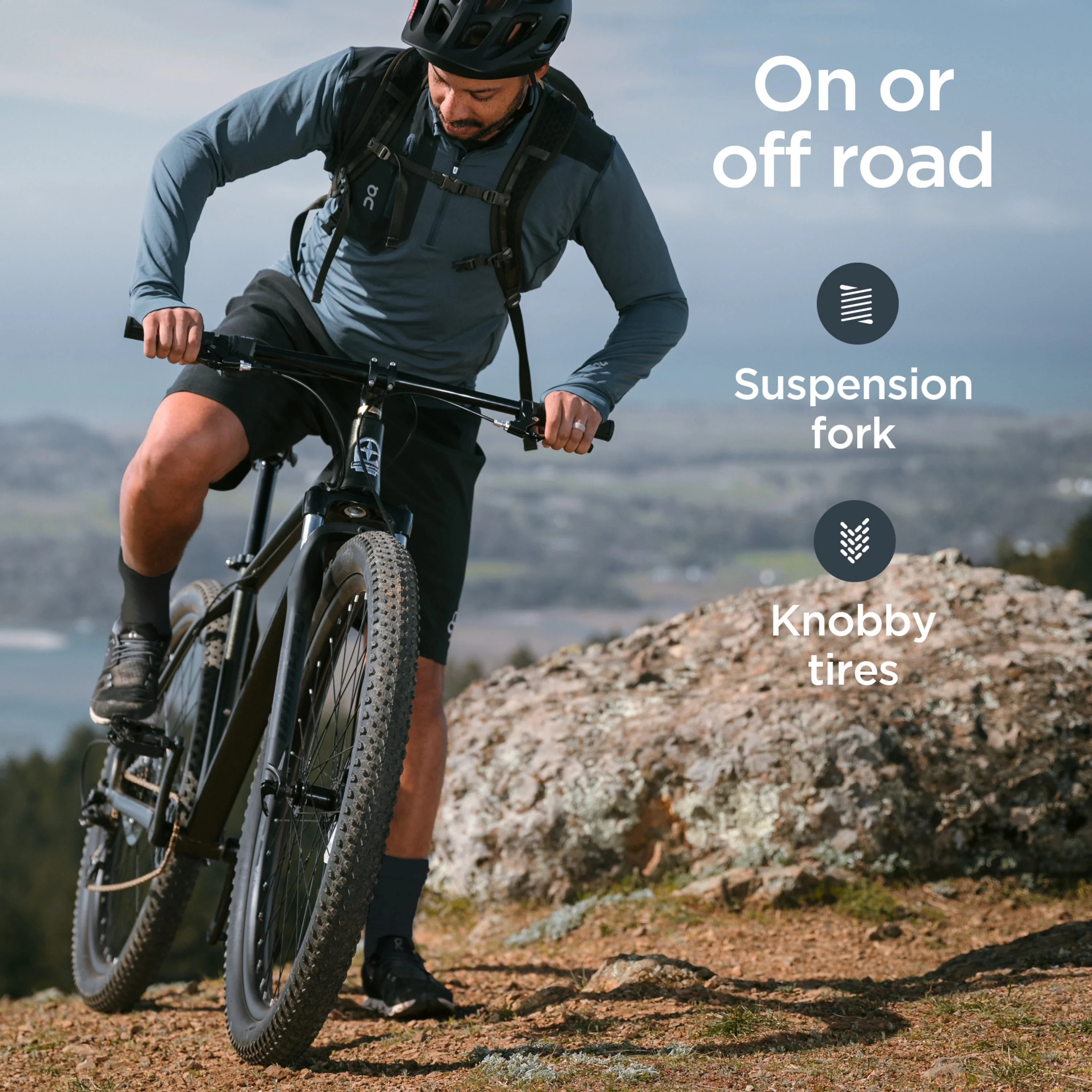 Schwinn Axum DP 29 inch Mens Mountain Bike, 17 inch Frame Adult Bicycle, Blue