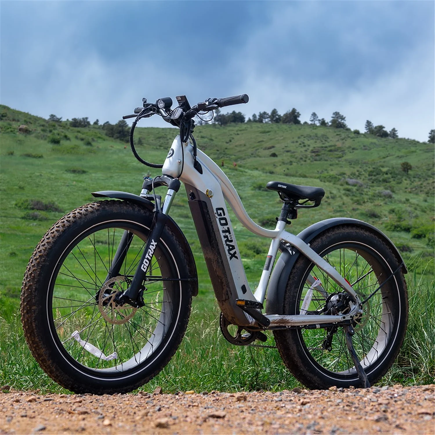 GOTRAX Tundra Electric Bike for Adults, 750W 48V 26