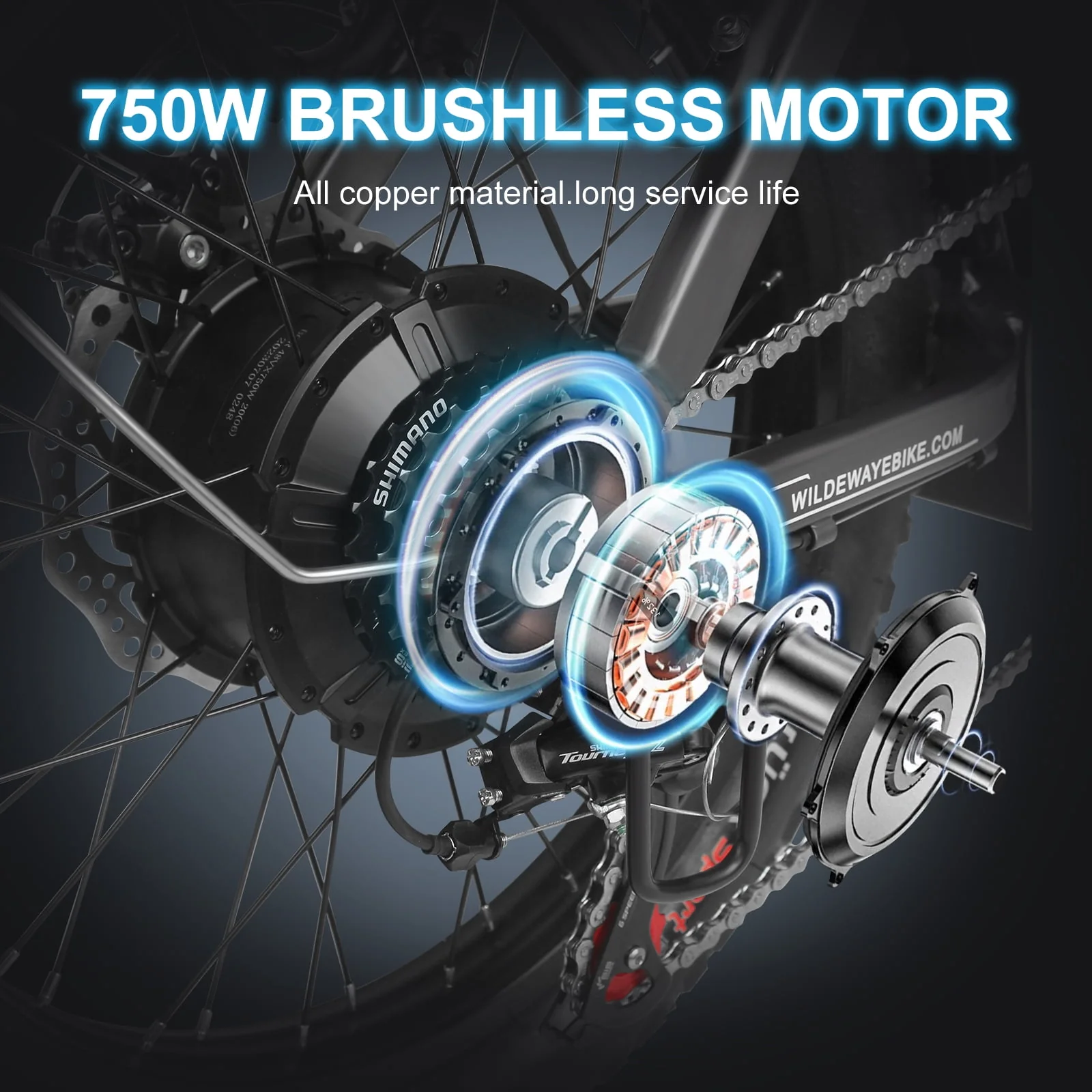 Wildeway Folding Electric Bicycle for Adults ,750w Motor，48v 32ah Removable Battery , 7 Speeds, 20×3.0 Fat Tire Snow Mountain Beach City Ebike Black