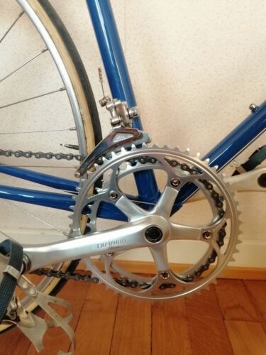 Vintage French Roadbike Gypsy Trophy 3938 Dura-ace