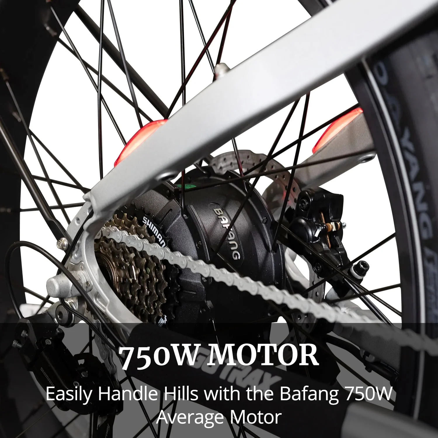 GOTRAX Tundra Electric Bike for Adults, 750W 48V 26