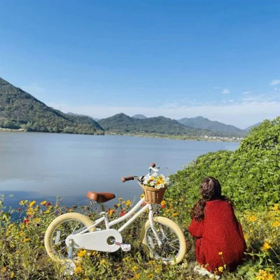 Petimini 14 Inch Steel Frame Child Bicycle with Wicket Basket, Handlebar Bell, Training Wheels, Adjustable Seat, and Parent Handle, Ages 3 to 5, White