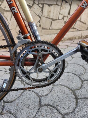 Wilier Viner Copper Racing Bike Willer Campagnolo No White