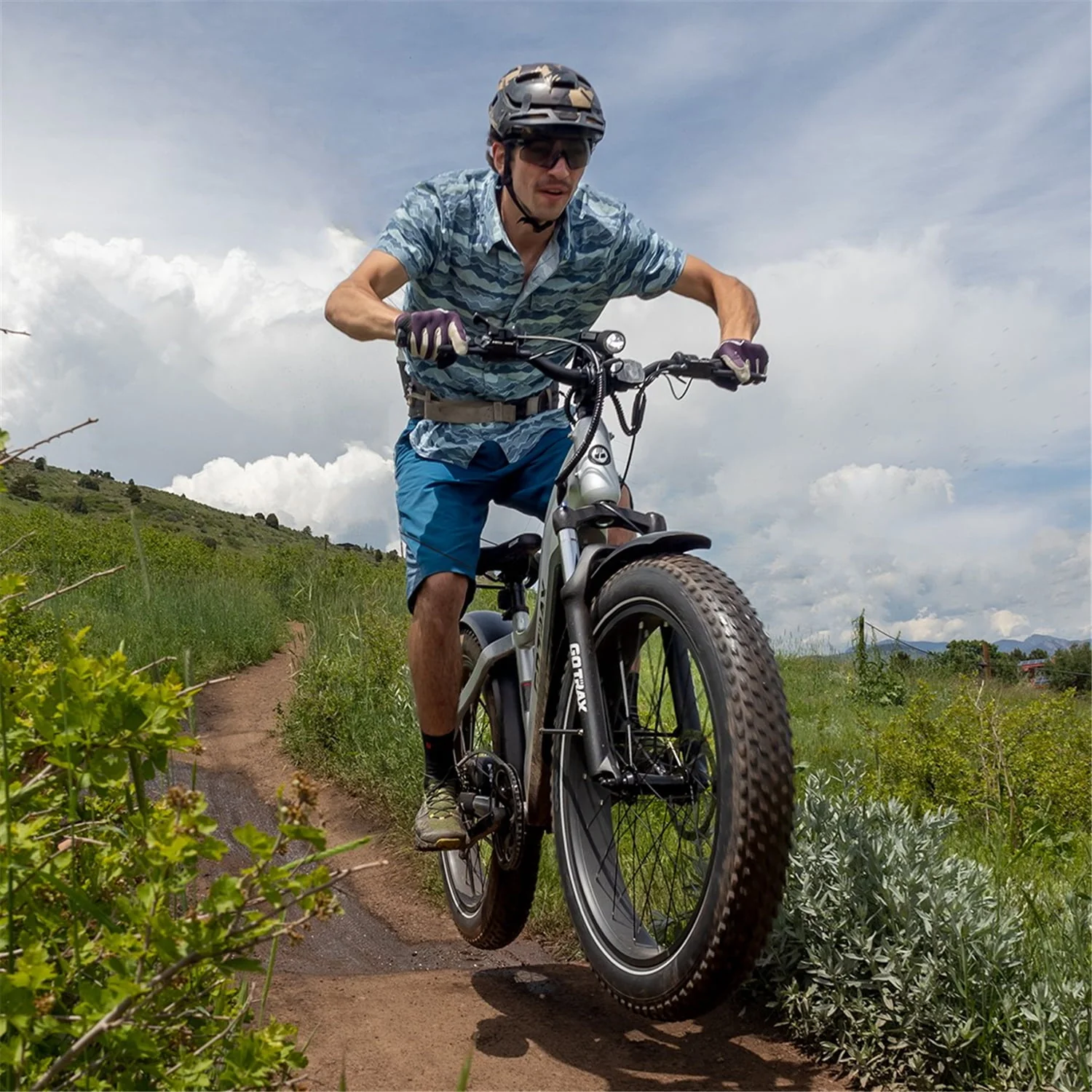 GOTRAX Tundra Electric Bike for Adults, 750W 48V 26