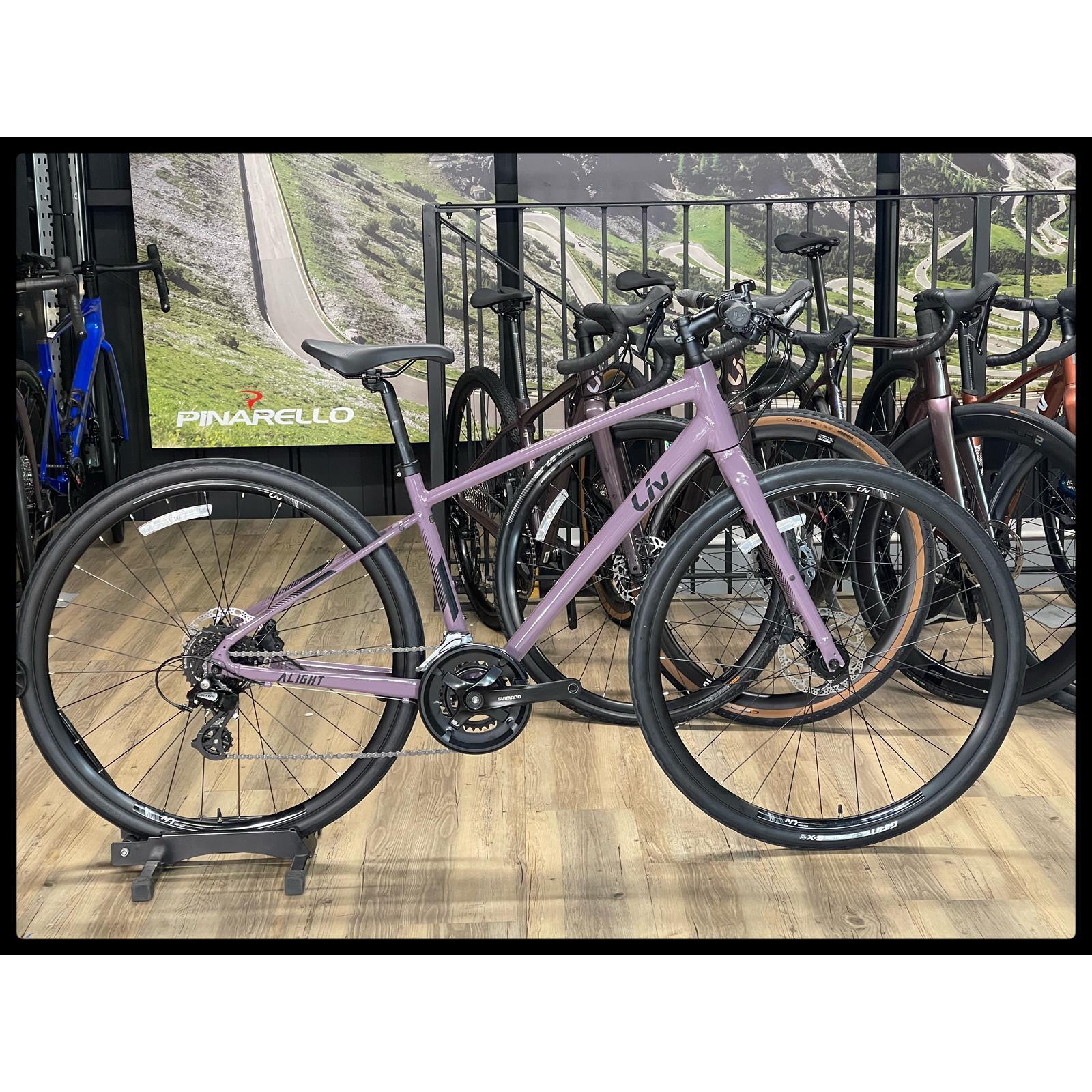 Liv Alight 2 DD Disc Small Purple Ash 2022