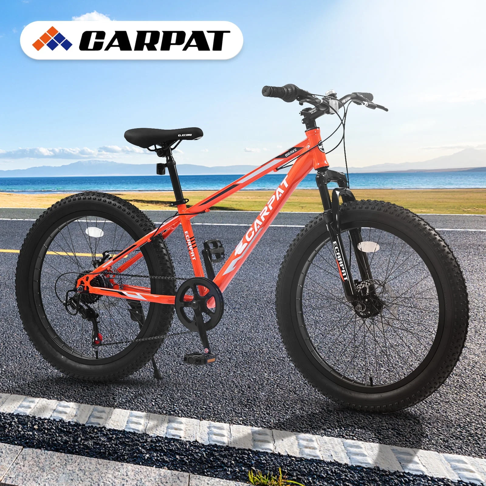 24 inch Mountain Bike with Fat Tires, Kids Bike with Disc Brakes & Suspension