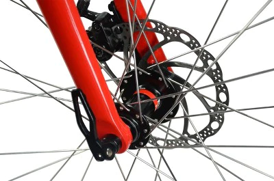 Pava Alloy Road Bike