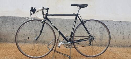 Pinarello Steel Racing Bike 50*52 cm Campagnolo Equal to the New Era Record