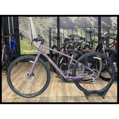 Liv Alight 2 DD Disc Small Purple Ash 2022