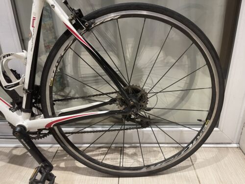 Specialized Secteur Road Bike XL Frame FULLY SERVICED✅ FREE & FAST DELIVERY 🚚