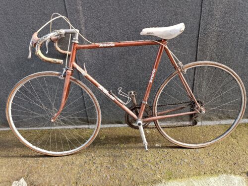 Bicycle da corsa Bottecchia Years 60/70 Accessories Campagnolo No White U. Of