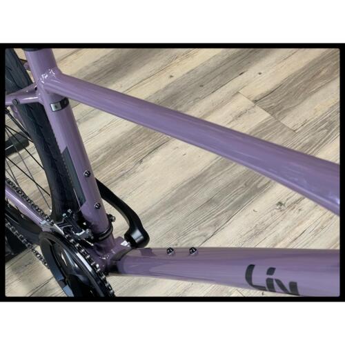 Liv Alight 2 DD Disc Small Purple Ash 2022