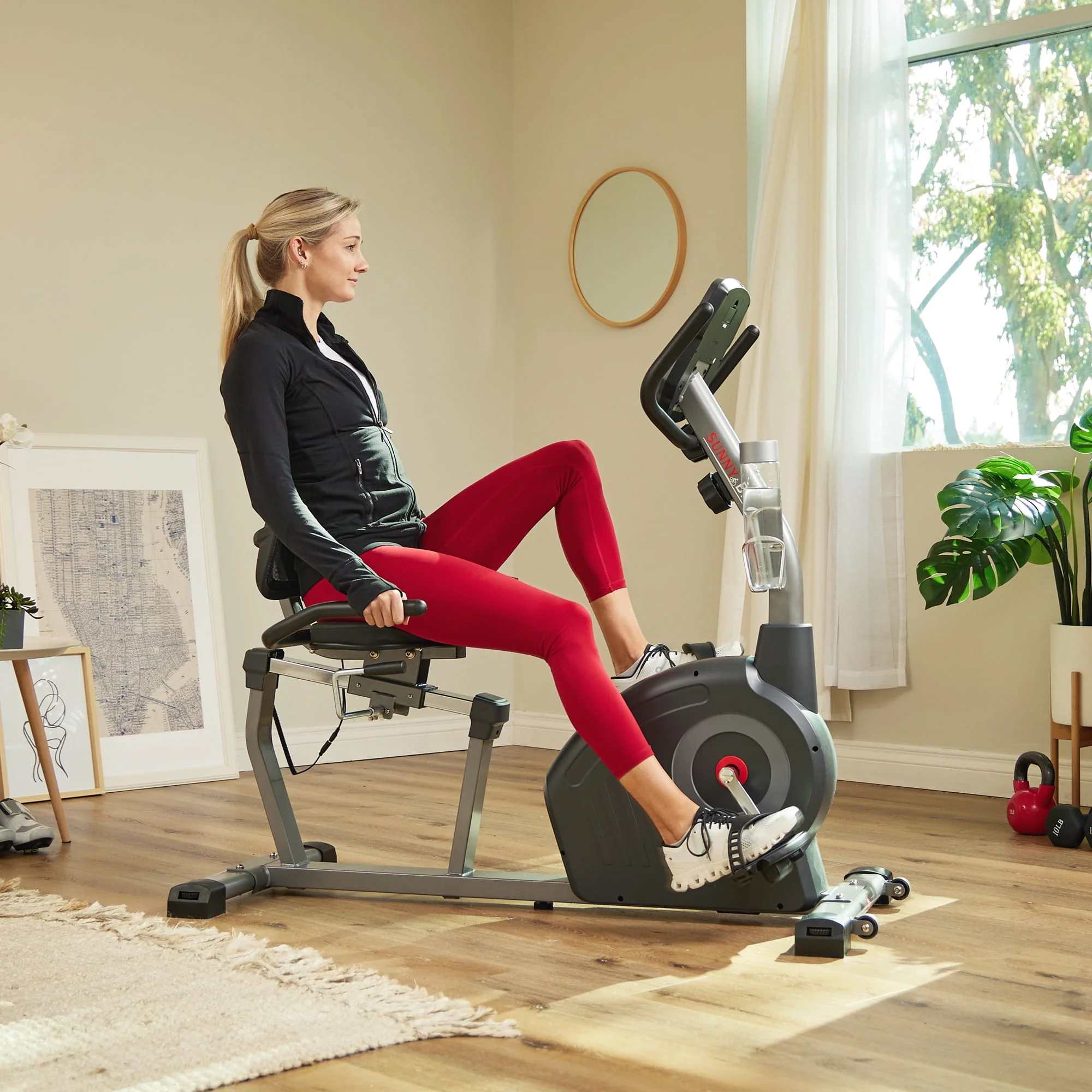 Sunny Health & Fitness Elite Interactive Series Recumbent Exercise Bike (SF-RB420046)