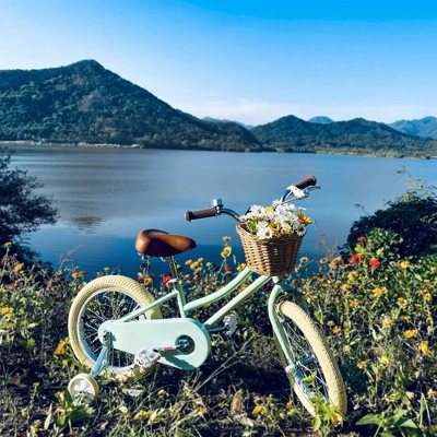 Petimini 16 Inch Steel Frame Child Bicycle with Wicket Basket, Handlebar Bell, Training Wheels, Adjustable Seat, and Parent Handle, Ages 4 to 8, Mint