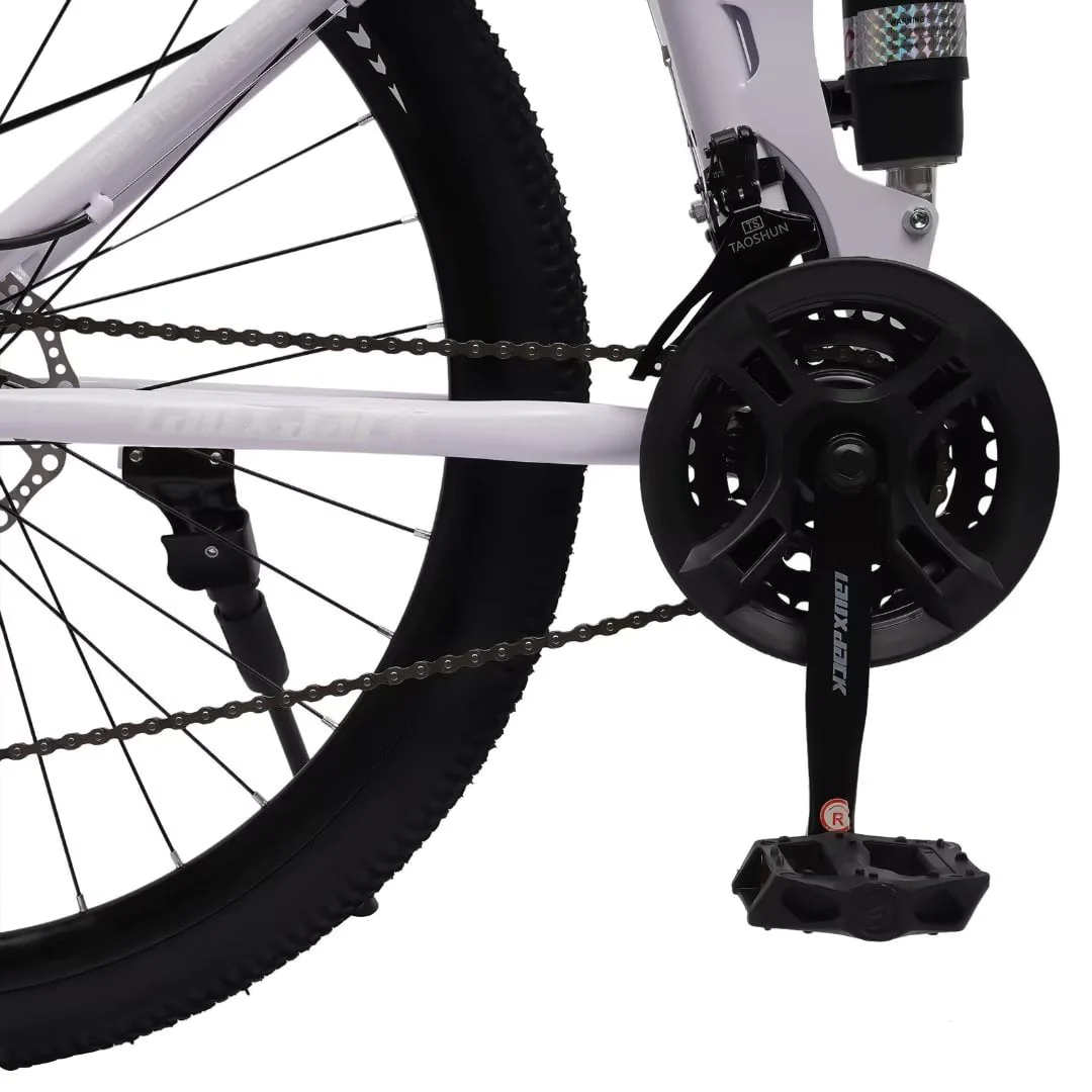 TFCFL 21-Speed Bike Folding Mountain Bike with Variable Speed Positioning Chain Large Footrest Folding Clip