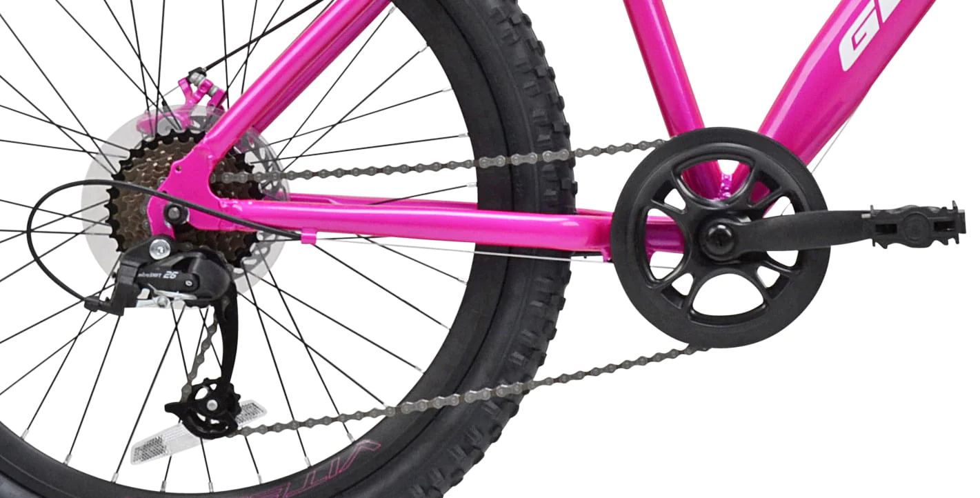 24 in. Messina Female Mountain Bike, Teen, Pink