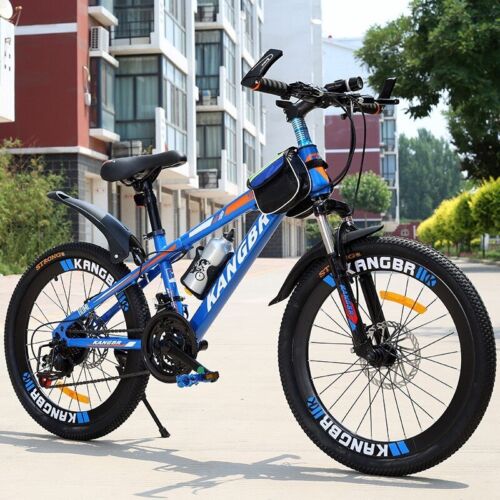 Adult Mountain Bike Double Disc Brake Men Women Bicycle Variable Speed Bicycle