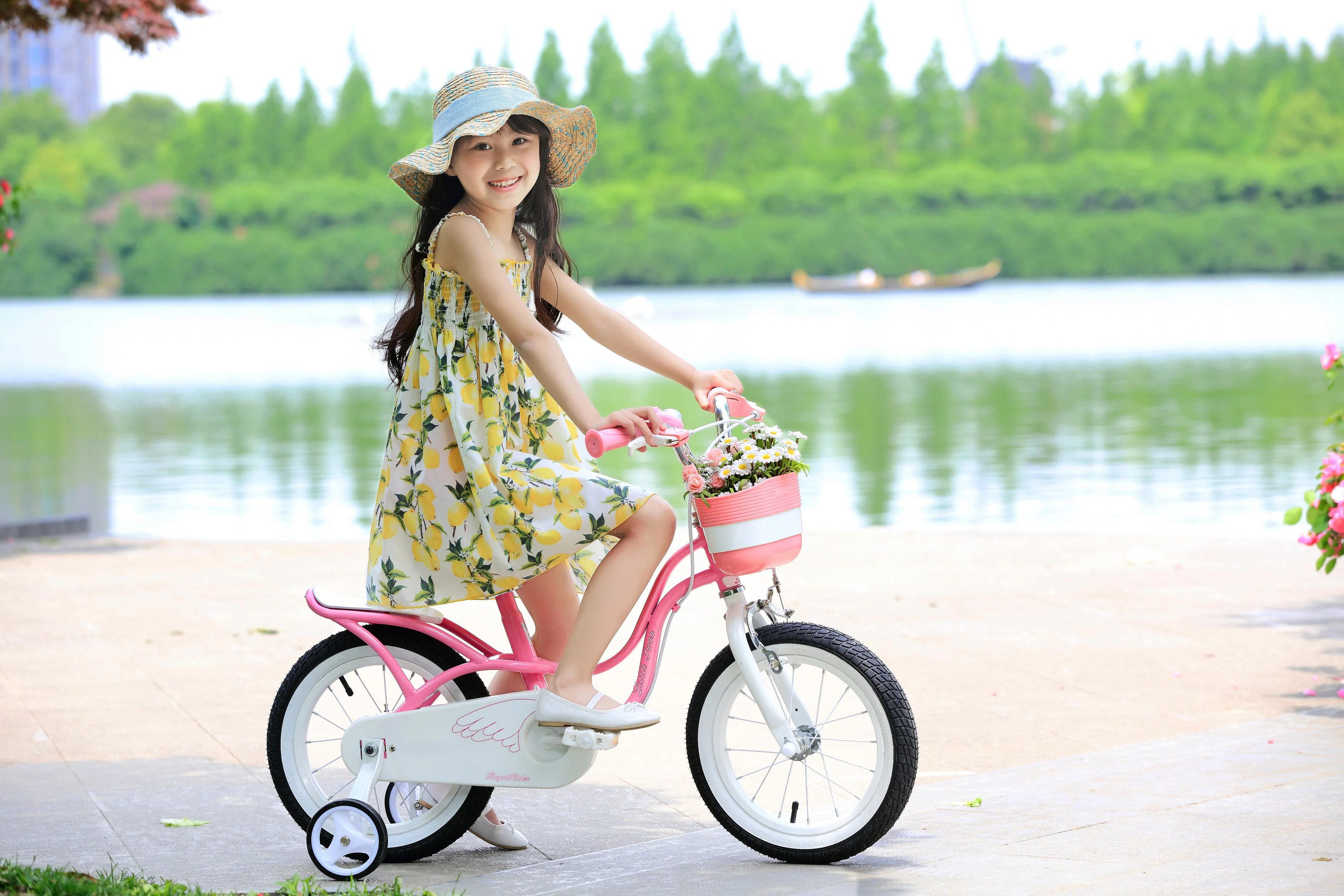 Royalbaby Little Swan Girl&s;s Bike, 14 inch wheels, Pink