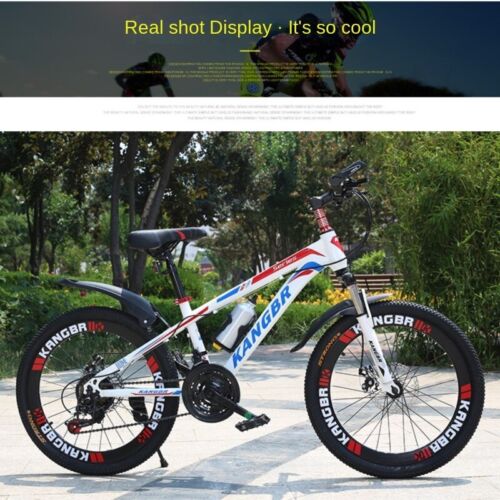 Adult Mountain Bike Double Disc Brake Men Women Bicycle Variable Speed Bicycle