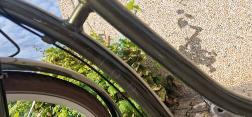 CITY BIKE RALEIGH 18 BRIGHTON 7G DARKOLIVE