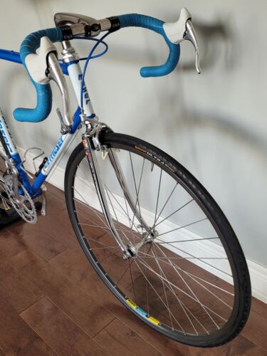 Francesco Moser 51.151