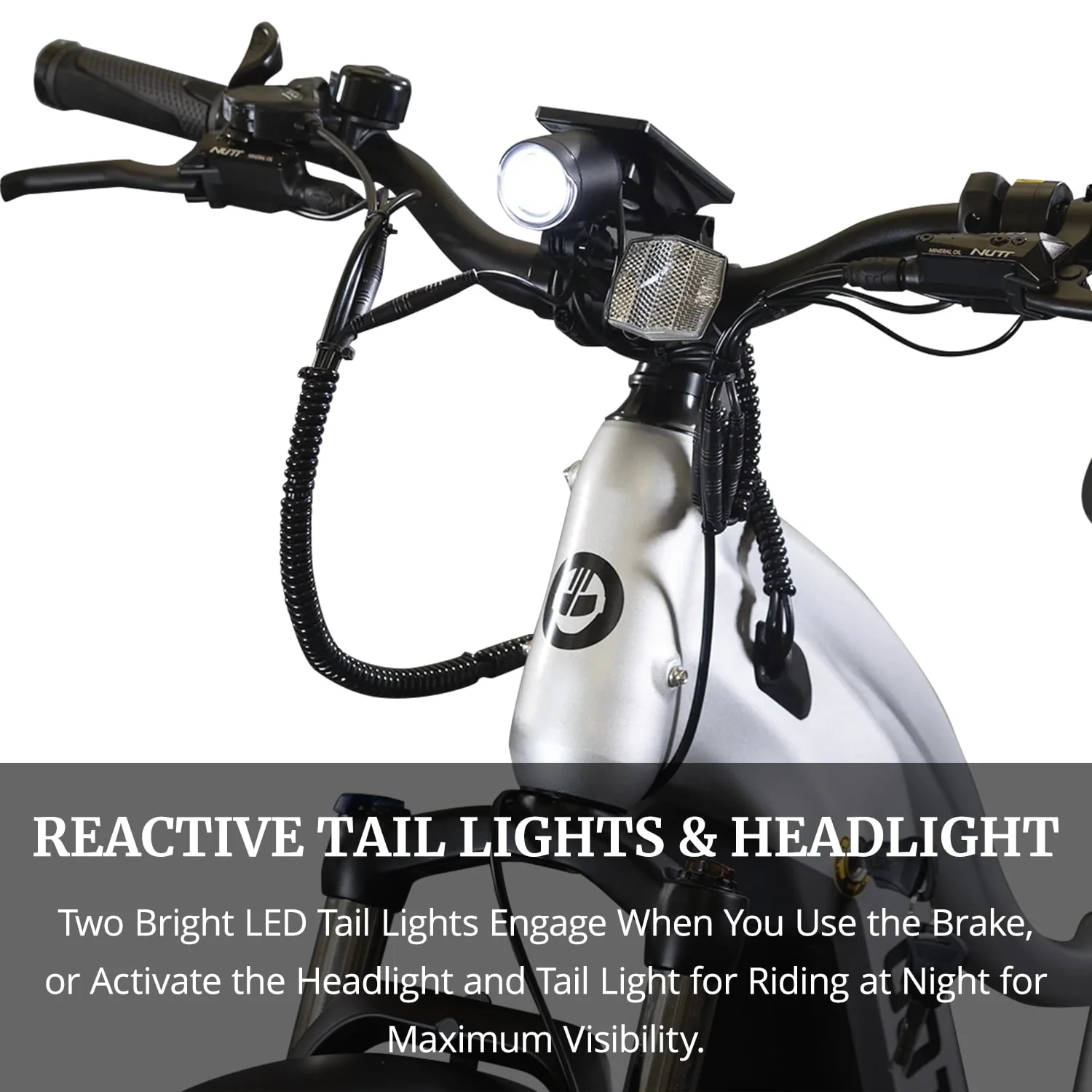 GOTRAX Tundra Electric Bike for Adults, 750W 48V 26