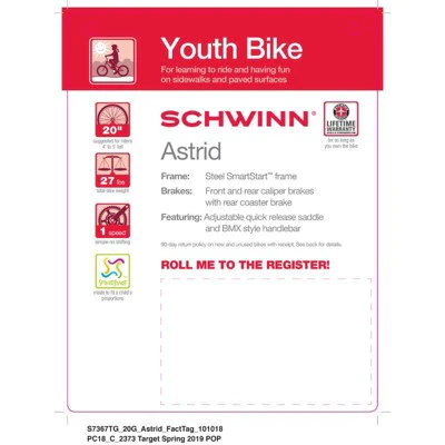 Schwinn Astrid 20" Kids' Bike - Gray