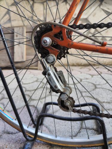 Wilier Viner Copper Racing Bike Willer Campagnolo No White