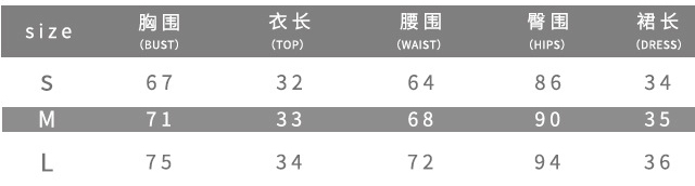 Summer Women Sexy Casual Crop Top and Skirt Two Piece Set