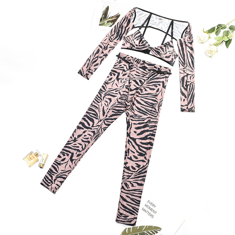 Summer Women Leopard Print Mesh Sexy See-Through Body Shaping Four-Piece Set