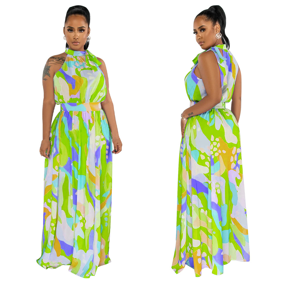 Women Printed Sleeveless Swing Dress