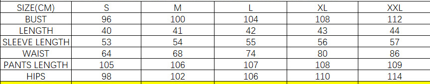 Women Solid Sexy Shirt and Casual Pants Two Piece Set