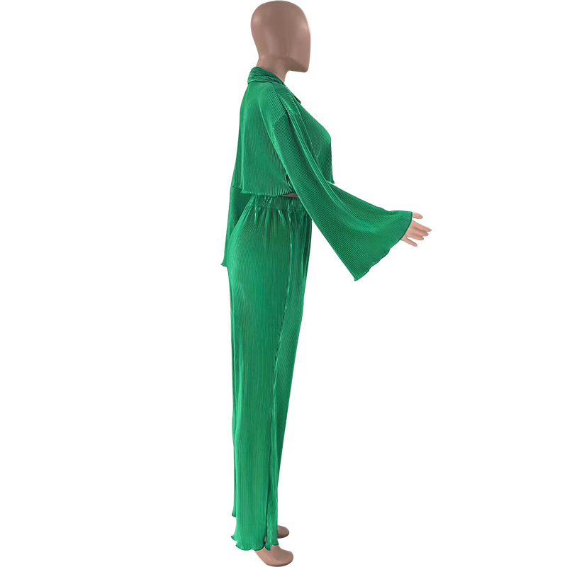 Women Solid Sexy Shirt and Casual Pants Two Piece Set