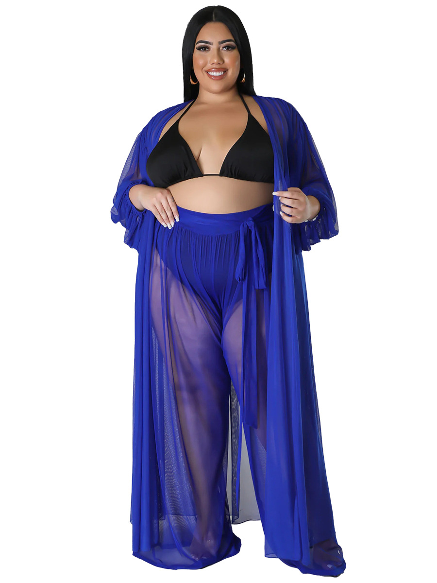 Women's Solid Bat Sleeves Sexy See-Through Long Sleeve Plus Size Two-Piece Pants Set