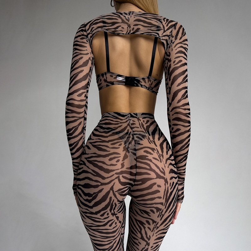 Summer Women Leopard Print Mesh Sexy See-Through Body Shaping Four-Piece Set