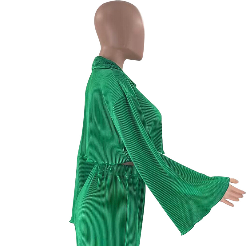 Women Solid Sexy Shirt and Casual Pants Two Piece Set